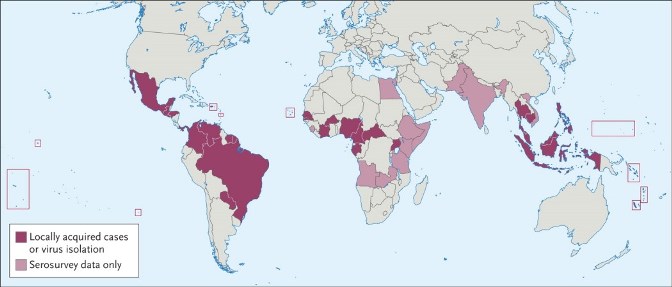 Zika affected areas